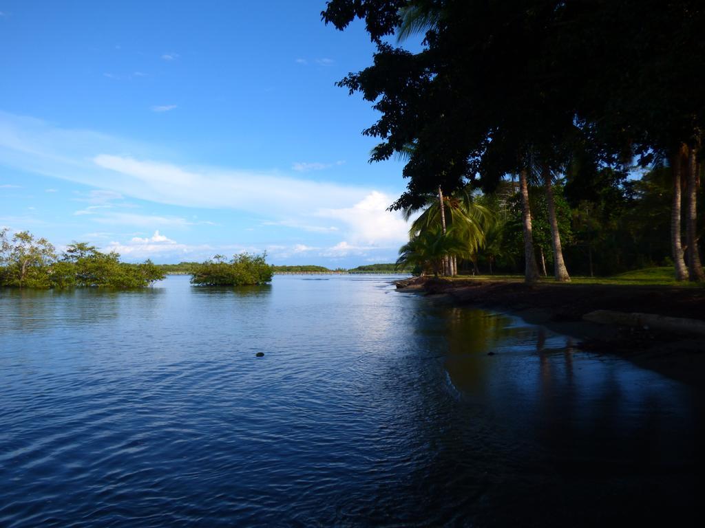 Corcovado Beach Lodge Puerto Jiménez Exteriér fotografie