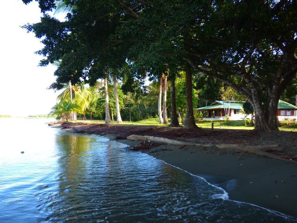 Corcovado Beach Lodge Puerto Jiménez Exteriér fotografie