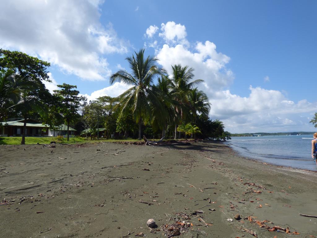 Corcovado Beach Lodge Puerto Jiménez Exteriér fotografie