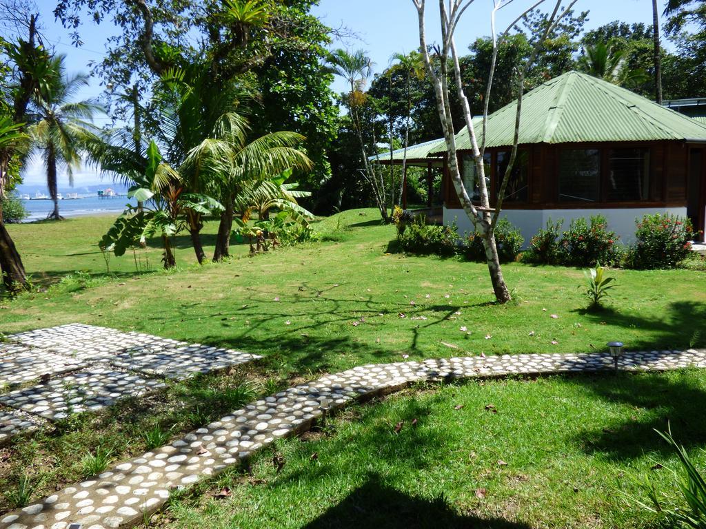 Corcovado Beach Lodge Puerto Jiménez Exteriér fotografie